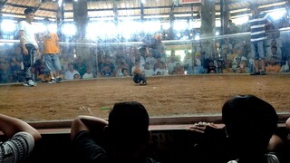 anim na lipad ng kalaban bago sumabay.