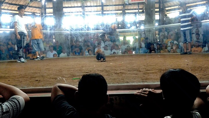 anim na lipad ng kalaban bago sumabay.