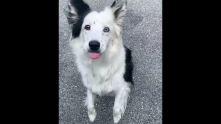 สาบานได้เลยว่าจับได้ทุกคน😂