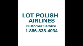 11 Ways To Access Lot Polish Airlines Customer Service By Phone, Chat, And Email