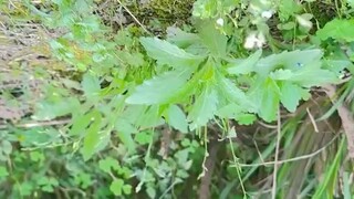 人活著千万别为难自己，有什么样的能力，就过什么样的生活，尽力而为，量力而行。