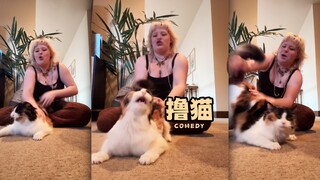 我们爱猫人士都是这样撸猫的😂