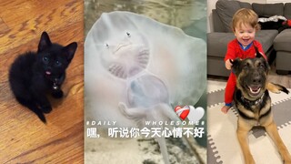 嘿，听说你今天心情不好