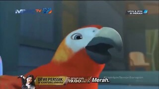 Upin & Ipin Si Merah Episode Terbaru 2025 - Upin Dan Ipin Full Movie Terbaru