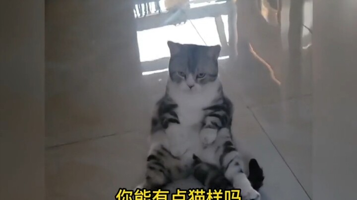 แต่ฉันชอบเธอไง!