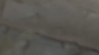 ลู่หลิงอวิ๋น องค์หญิงราชวงค์ก่อน [ พากย์ไทย ]