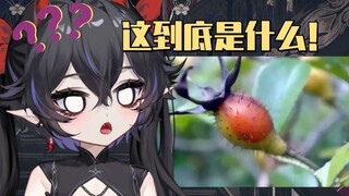 这个到底是什么水果啊喂！
