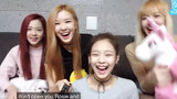 Jennie mengajarimu bagaimana menyebut Rose