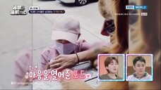 Animals Are Incredible Ep. 14