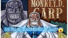 SEJARAH GARP KAKEK DARI MONKEY D LUFFY😱