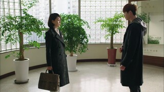pinocchio hindi dubbed so1 ep 19
