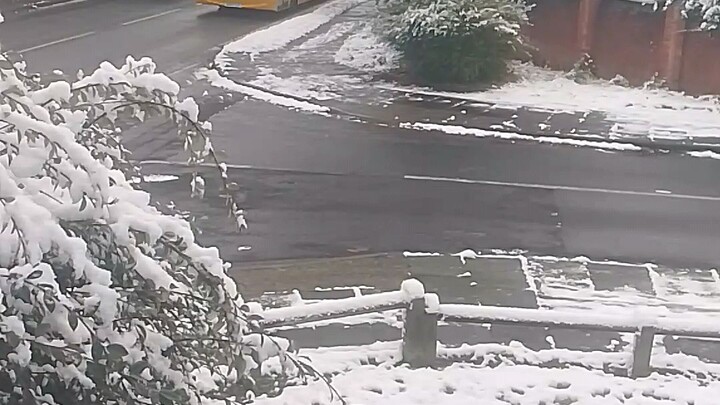 this is what I woke up to this morning