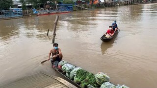 Mỗi ngày hơn 1 tấn rau củ quả tươi gởi đến bà con những ngày giãn cách xã hội