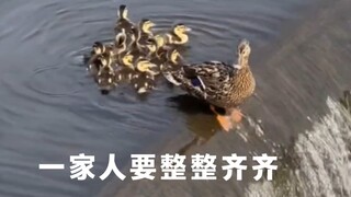 Đây mới là gia đình, phải gọn gàng ngăn nắp chứ hahaha