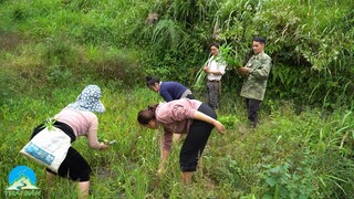 BỮA TRƯA CỰC NGON NGOÀI ĐỒNG MÓN LẠ ÍT NGƯỜI BIẾT