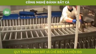 be5-4 -  công nghệ đánh bắt - chế biến cá hiện đại