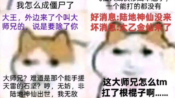Magnetic Field Multiverse • Cat-Dragon Integration Association (Contribution)