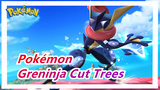 [Pokémon] Greninja: Carlos' Trees Have All Been Cut Down By Me