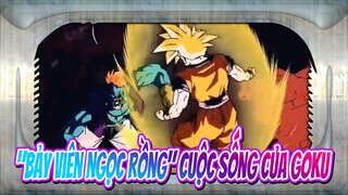 "bảy viên ngọc rồng" cuộc sống của GOKU