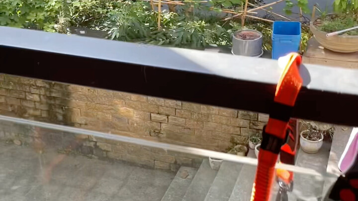 Each puppy has its own unique way of being woken up—this is Bella’s.