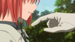 AMV Rise