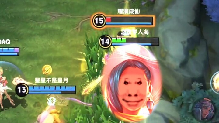 这就是和玉化齐名的石化吗？