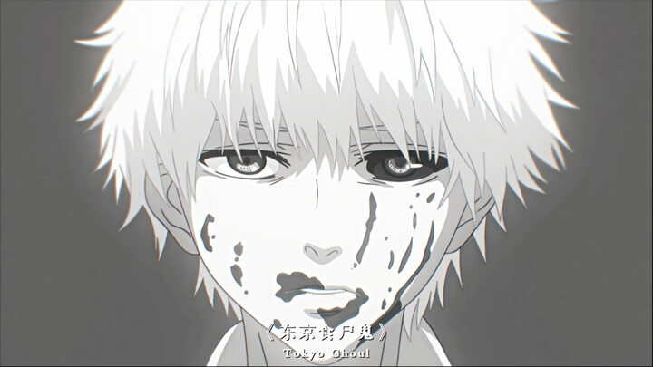 “野狗不需要坟墓 狂奔到腐烂就好”