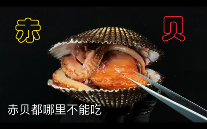 Di bagian mana saja kerang merah tidak boleh dimakan, dan bagaimana cara mengolahnya? Apakah Anda ta
