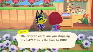 Animal crossing New horizons - How Ankha saved my life.