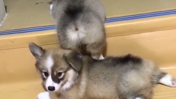 Gendong tas, dongakkan kepala, yang dibahas semua gosip kelas atas!