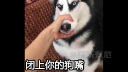 Why eating steamed oranges helps when you’ve “gotten it”? Insane yet oddly makes sense!