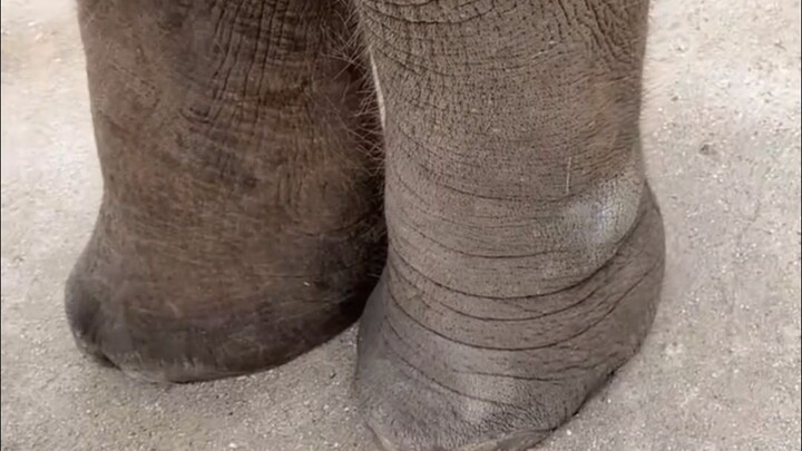 Cute little legs folded just like that are really adorable, aren’t they!!!