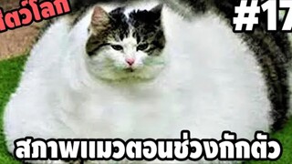 รวมคลิปตลกๆ : สภาพเราตอนกักตัวนานๆ……