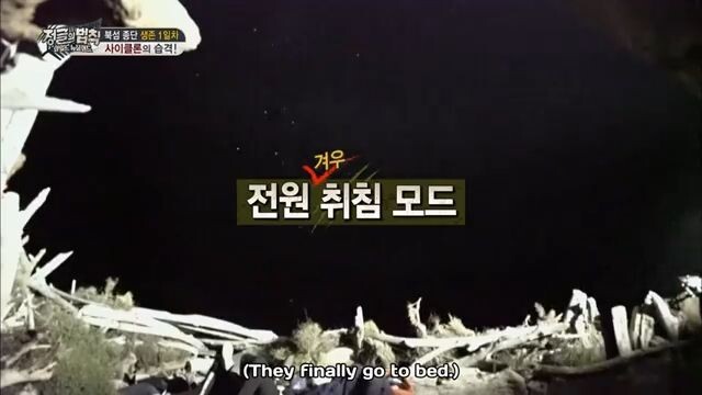 E266 Law of Jungle - New Zealand