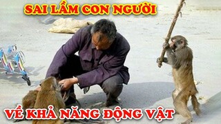 Camera Vô Tình Quay Lại 12 Lần Con Người Đánh Giá Sai Lầm Về Động Vật #27