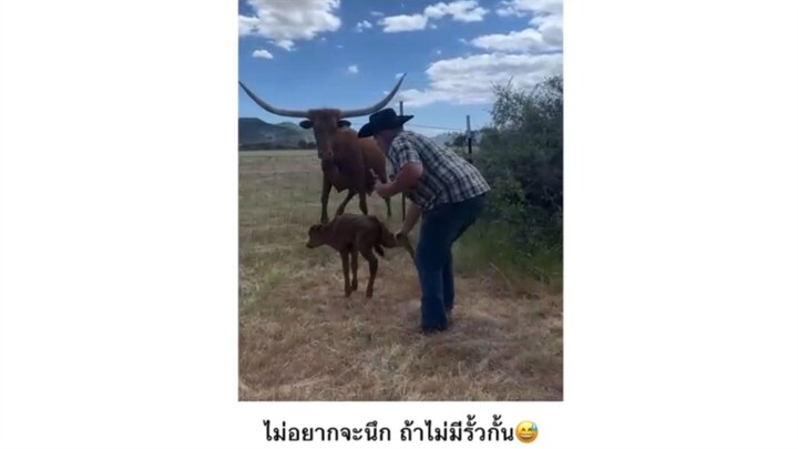 เขายาวมากกก😅