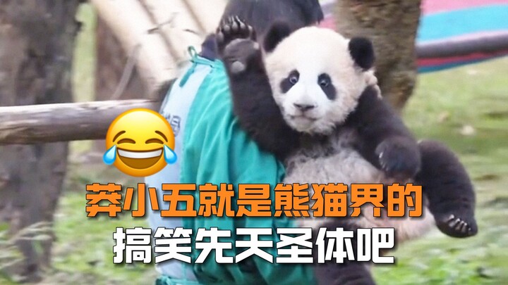 “Mãng Tiểu Ngũ: Không bị mẹ đánh thì cũng đang trên đường bị đánh…”