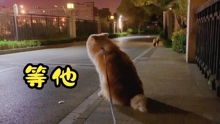 Grandpa’s not home, so the dog waited all day.