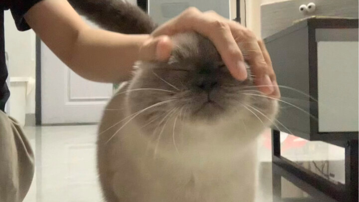 Saat aku menyentuhnya, dia akan...