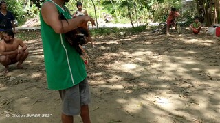 3rd fight lost