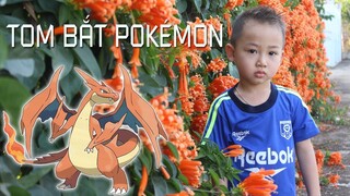 Hoàng Tom TV - TOM bắt Pokemon