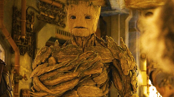 In the end, we all understood what Groot said!