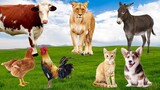 30 Minutes Funny Animal Sounds in Nature: Donkey, Chicken, Cow, Lion, Dog, Cat,... | Animal Moments