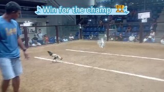 1st entry 2nd fight champion @VSC