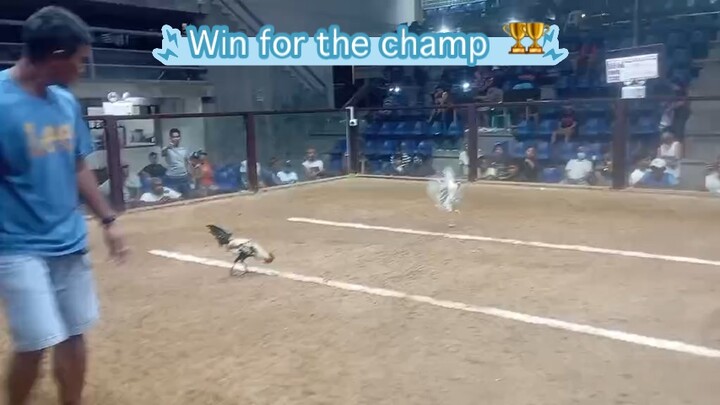 1st entry 2nd fight champion @VSC