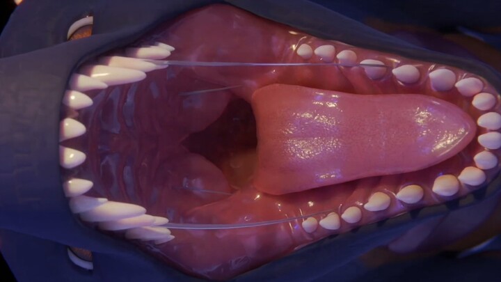 Dragon's Oral Display