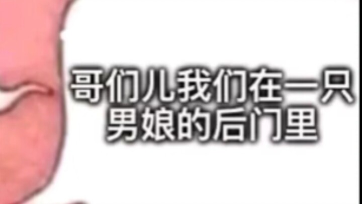 Online Suspended Images (174)