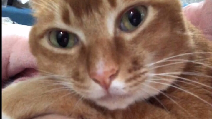 “Thường Nhật”