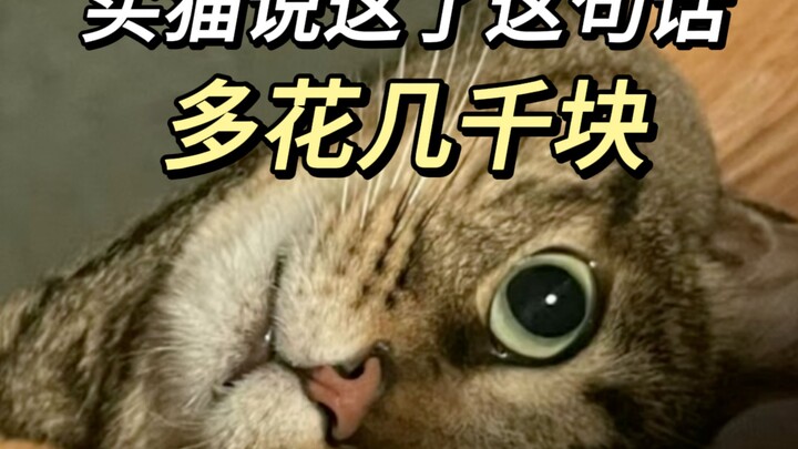 Những điều tiệm thú cưng muốn bạn cả đời cũng không biết!