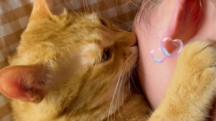 Aku pasti sudah mengatakan aku mencintaimu beberapa ratus tahun yang lalu! Unggahan ini memblokir or